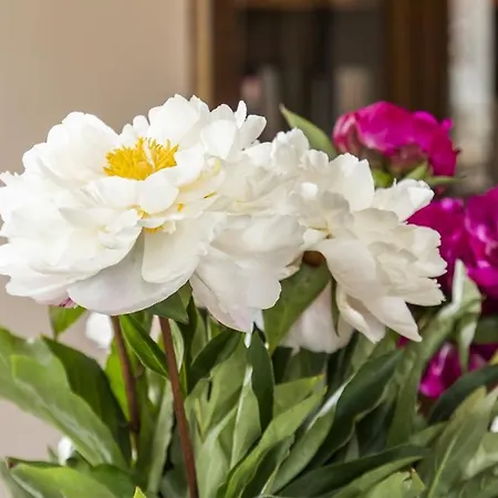 Valpolicella 68 Bed & Breakfast *